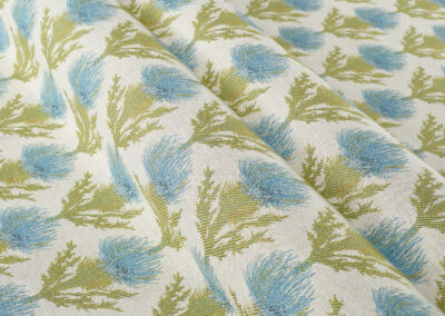 Moray – Aqua|Cream (Sample)